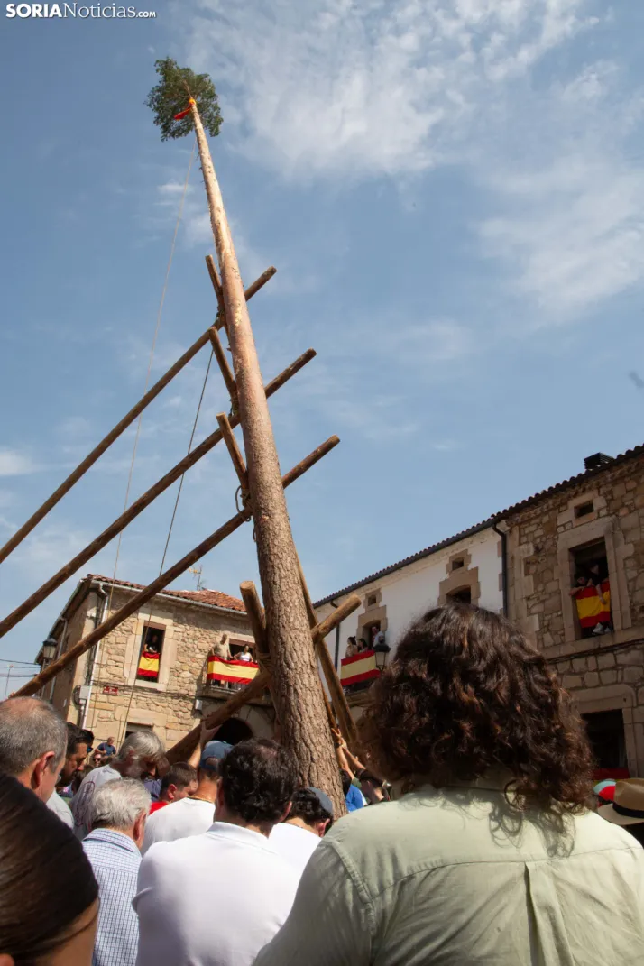 Pingada del Mayo en Vinuesa 2026