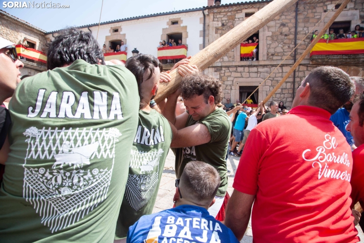 Pingada del Mayo en Vinuesa 2026