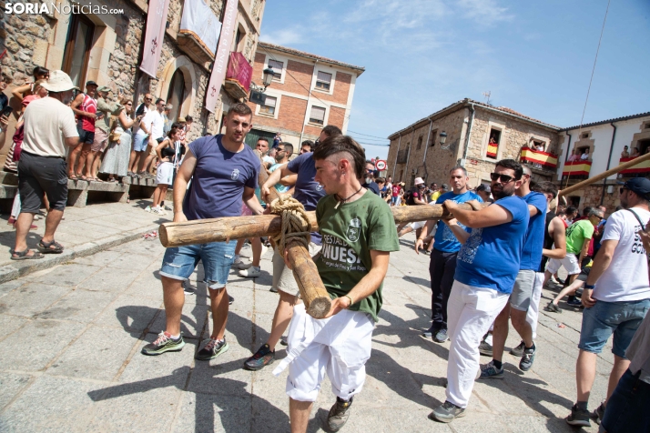 Pingada del Mayo en Vinuesa 2026