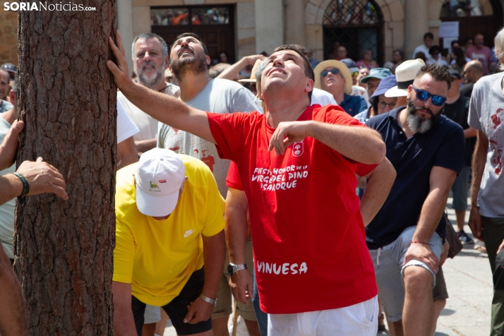 Pingada del Mayo en Vinuesa 2026