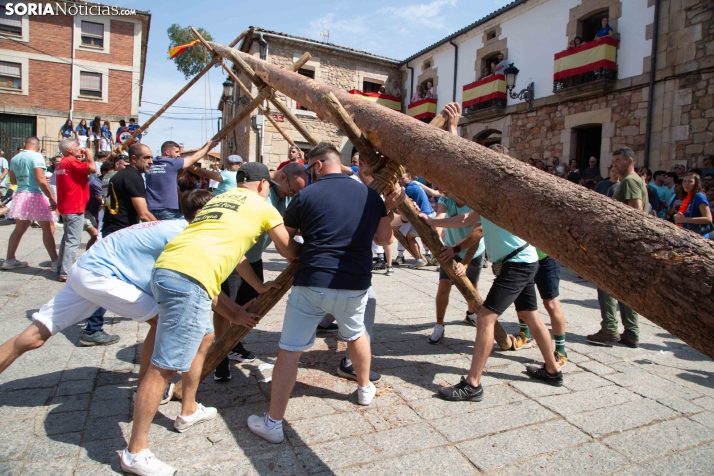Pingada del Mayo en Vinuesa 2026