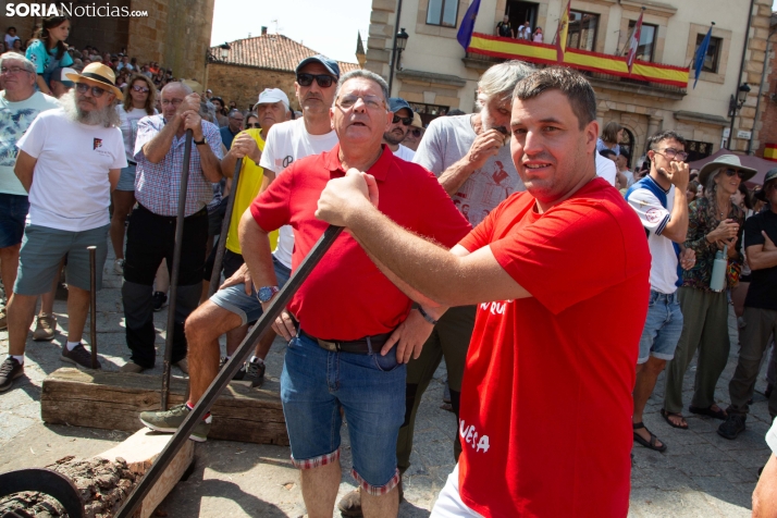 Pingada del Mayo en Vinuesa 2026