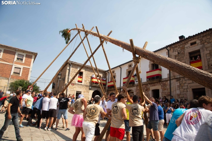 Pinochada, Velas y Pingada del Mayo en Vinuesa: Tradiciones que se van depurando para mantener viva la esencia visontina