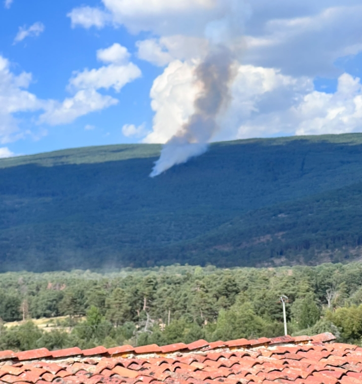 Estabilizado el incendio forestal declarado esta tarde en Vinuesa (AMPLIACIÓN)