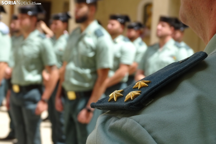 La Guardia Civil recibe una denuncia por el ataque de seis perros a una mujer en Ocenilla