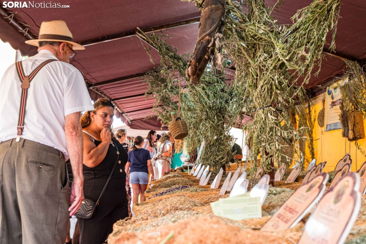 Mercado Medieval San Esteban De Gormaz 2026./ Viksar >Fotografía
