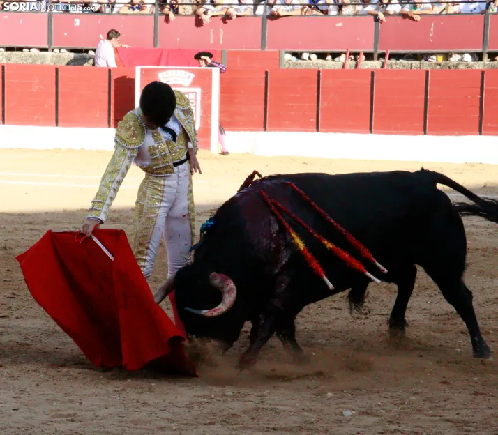 Feria Taurina El Burgo de Osma 2026