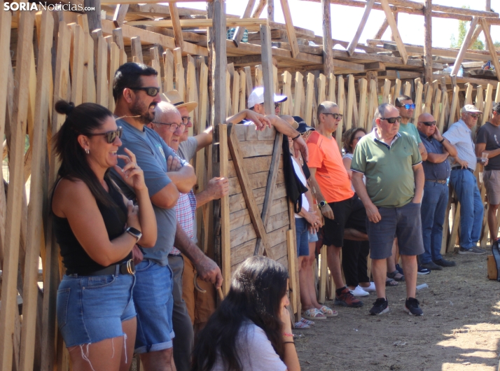 La tradici&oacute;n de la madera se convierte en espect&aacute;culo en Vinuesa 