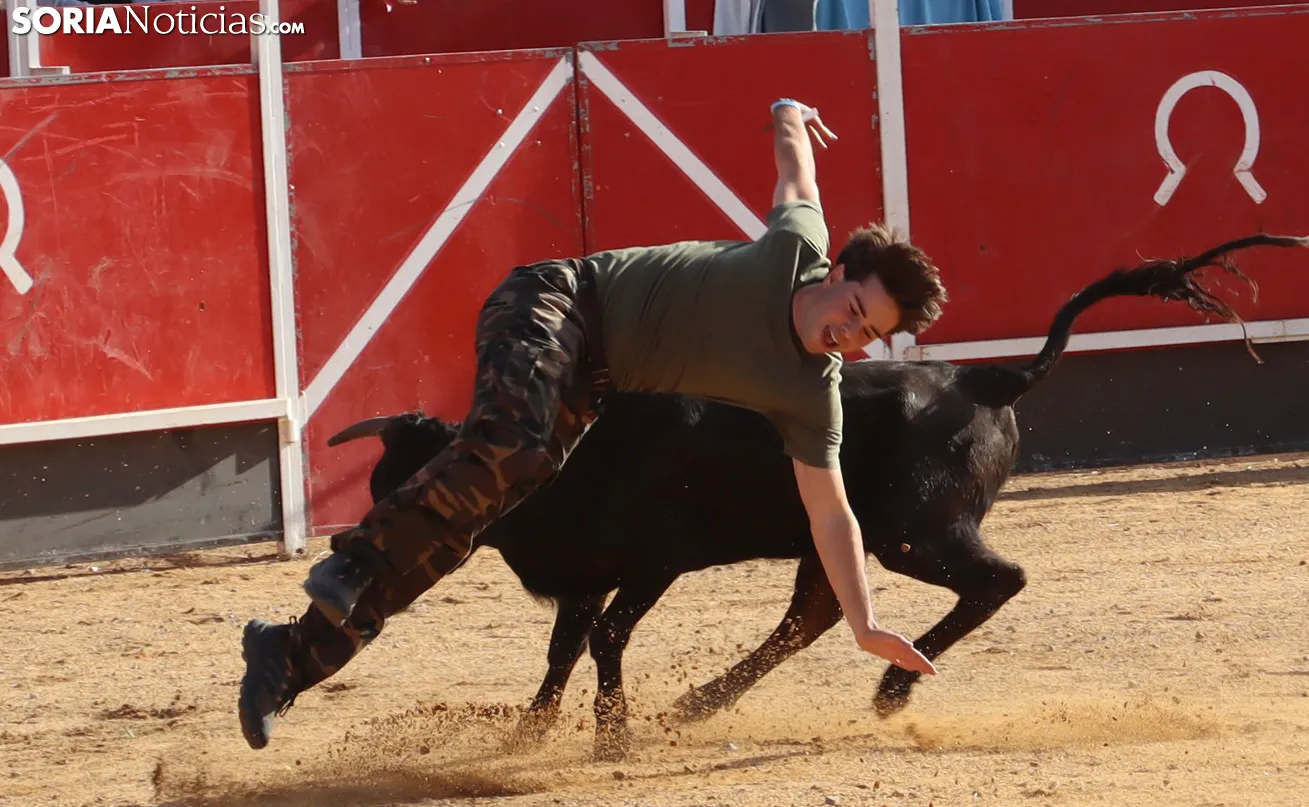 GALERÍA | Los quintos de Ólvega lucen su afición taurina