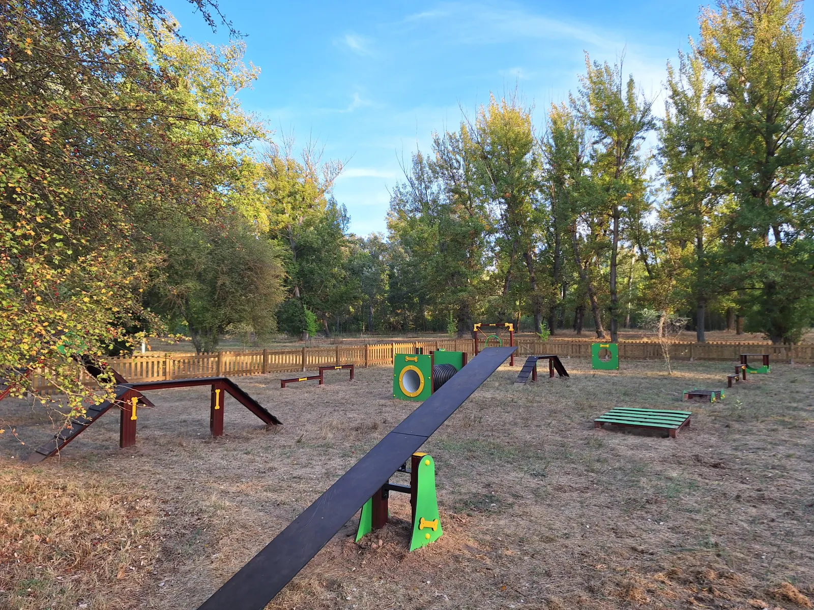 Foto 2 - Catorce obst&aacute;culos para perros en el nuevo parque de 'Agility' que estrena hoy Almaz&aacute;n
