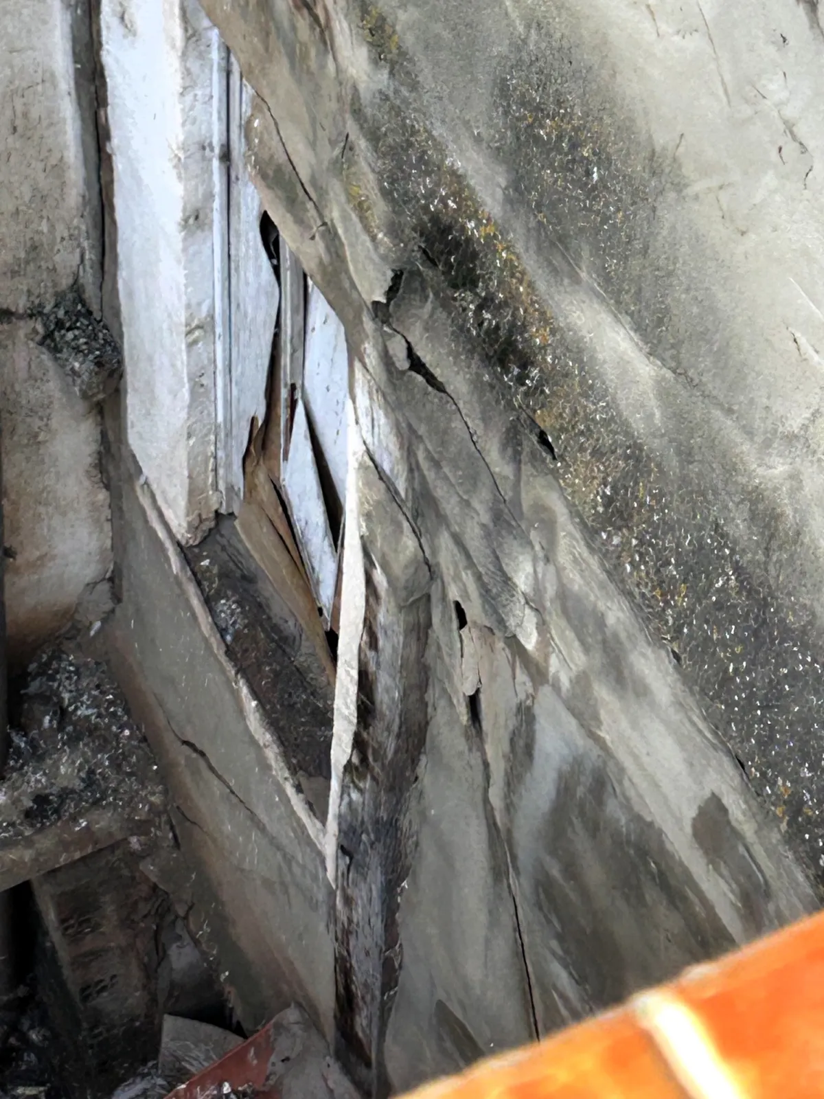 Estado que presenta el inmueble abandonado en El Collado en imágenes cedidas por los vecinos.