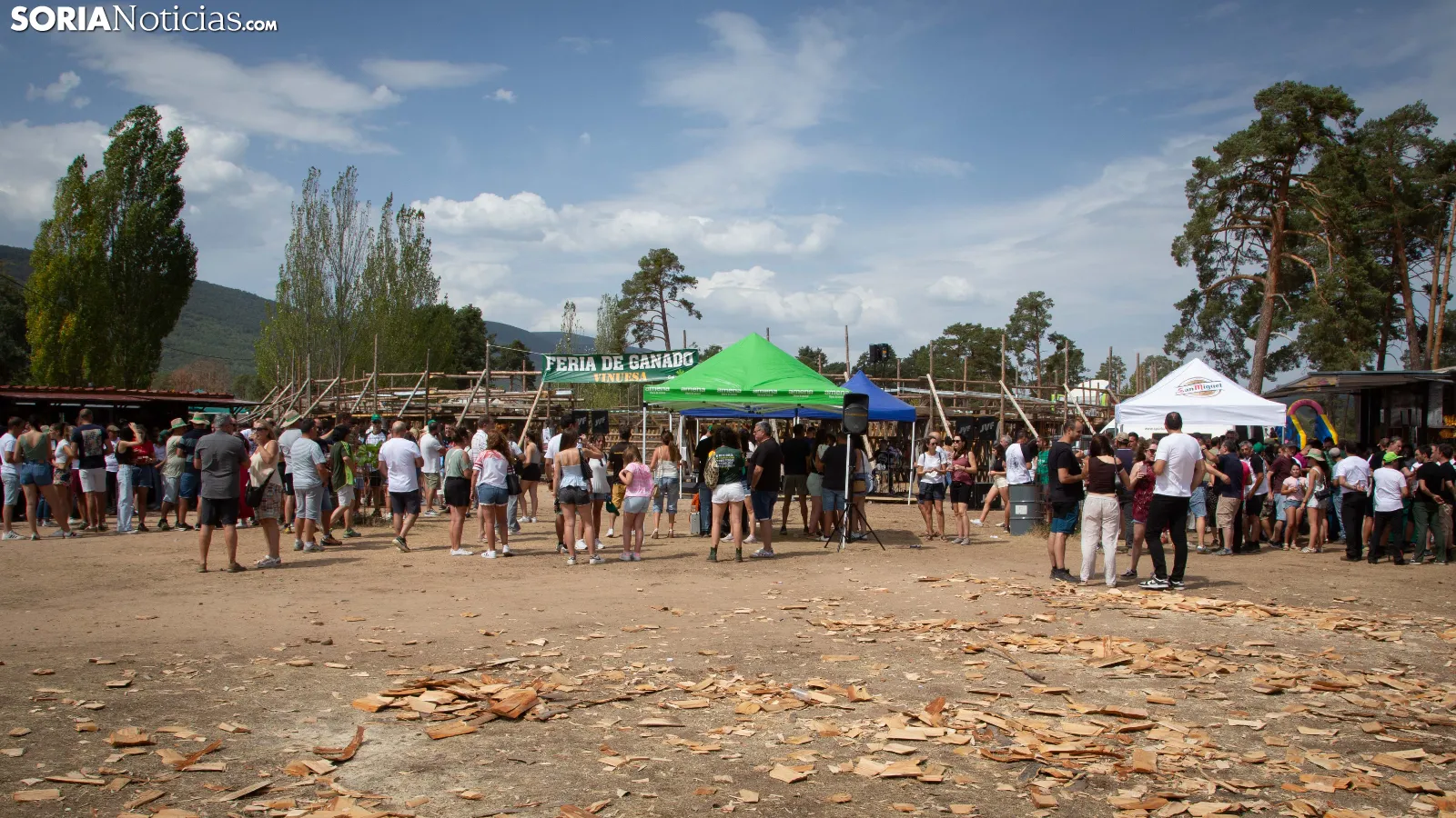 Fotos: Vinsontinos y visitantes disfrutan de un gran día en una nueva edición de su Feria Ganadera