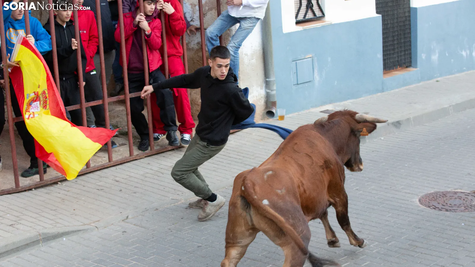 La emoción vuelve a las calles de Arcos con su segundo encierro
