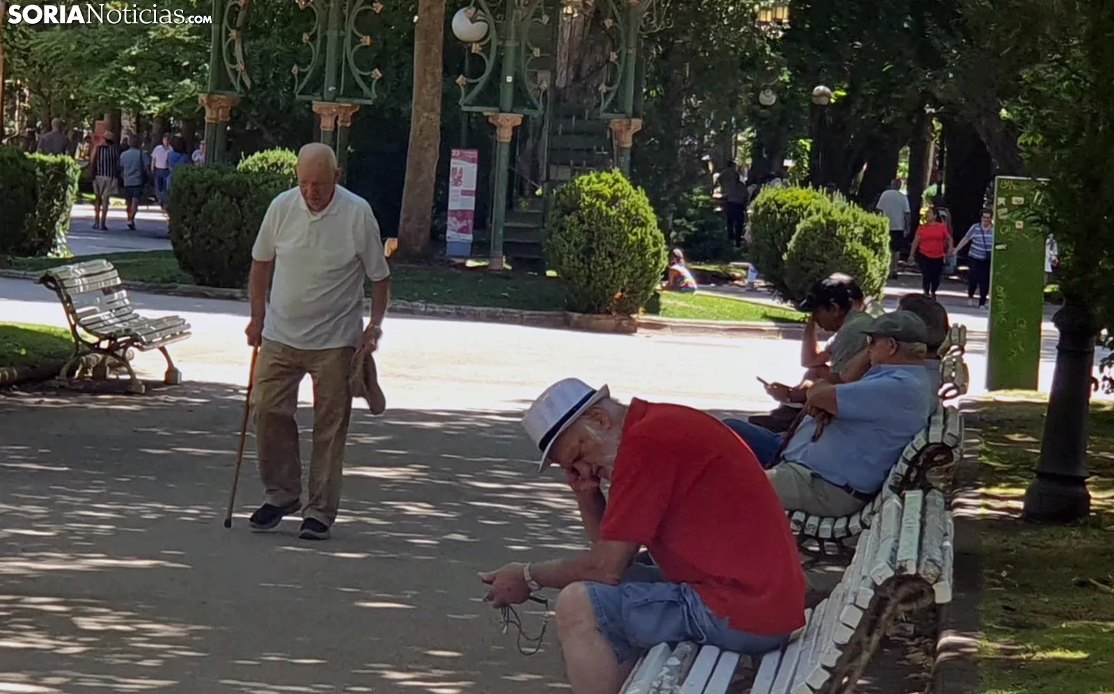 Foto 1 - Casi el 20% de las pensiones en la provincia requieren complementos a m&iacute;nimos para subsistir