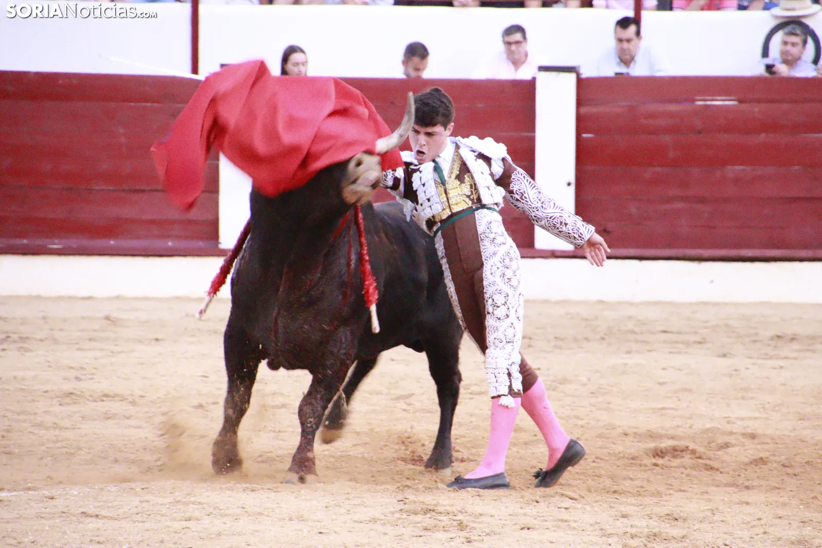 En imágenes: Tarde de toros en Almazán con protagonismo para Rubén Sanz y Jarocho