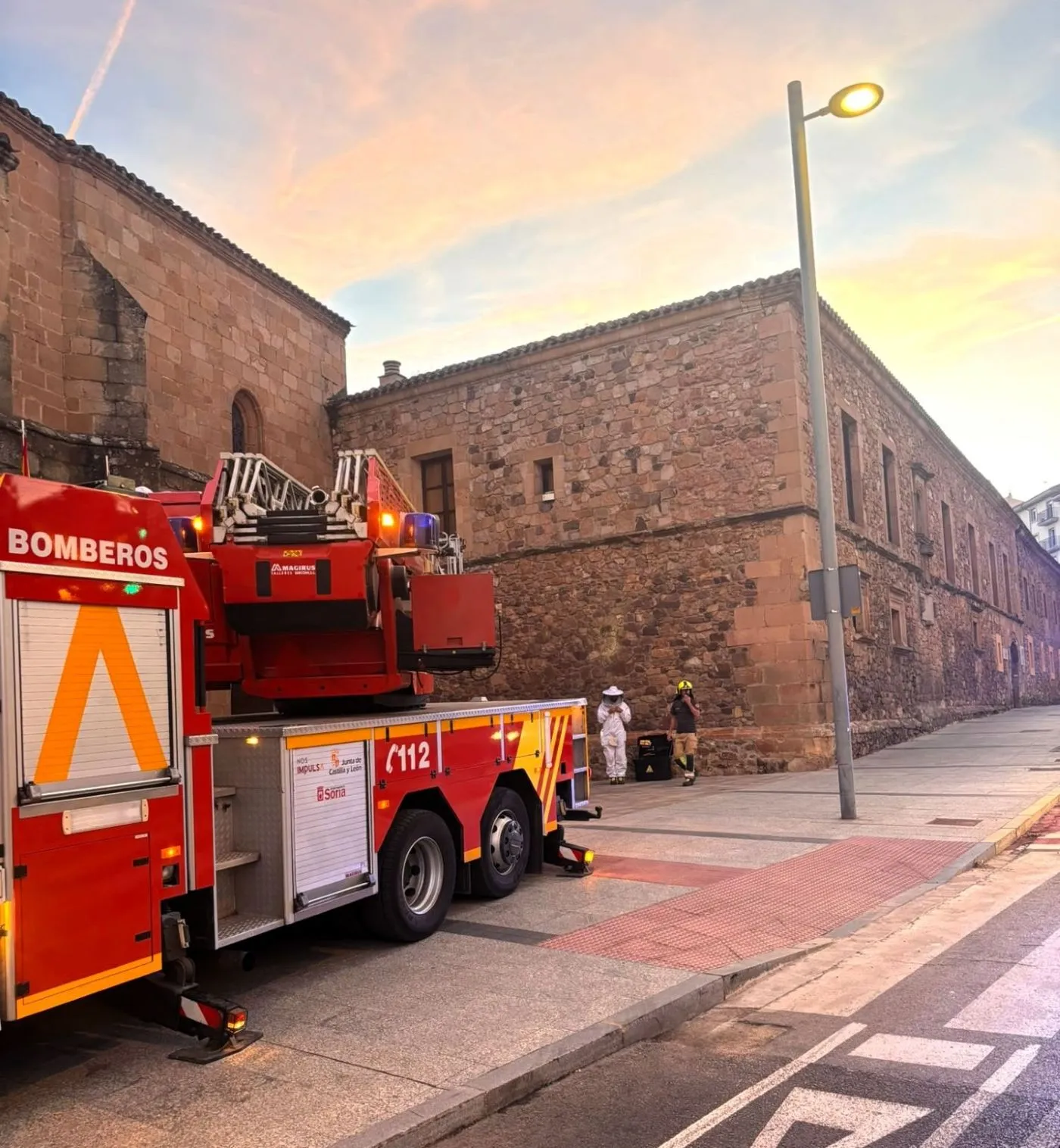 Los bomberos, ayer, retirando un nido de avispas junto a la entrada del Aula Magna Tirso de Molina. | Ayto Soria