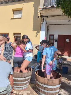 Foto 10 - Las ni&ntilde;as lideran el relevo generacional en la pisada de uva de Quintanilla de Tres Barrios