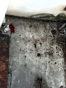 Excrementos de las palomas en el patio. 