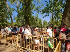 Tradicional caldereta popular en La Arboleda. / Imegan: Ayto. Almazán
