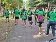 Una imagen del recorrido. /Ayuntamiento de Almazán