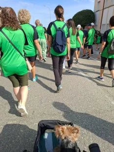 Una imagen del recorrido. /Ayuntamiento de Almazán