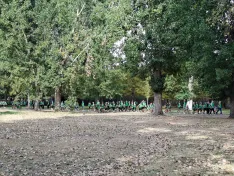 Una imagen del recorrido. /Ayuntamiento de Almazán