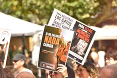 Foto 4 - La privatizaci&oacute;n en la gesti&oacute;n de las colonias felinas desata la indignaci&oacute;n de las protectoras