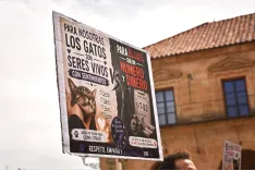 Foto 3 - La privatizaci&oacute;n en la gesti&oacute;n de las colonias felinas desata la indignaci&oacute;n de las protectoras