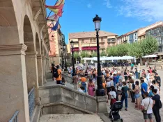 Foto 7 - La privatizaci&oacute;n en la gesti&oacute;n de las colonias felinas desata la indignaci&oacute;n de las protectoras