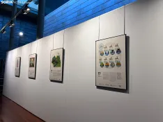 Exposición 'La esfera del Agua' en la Sala B del Palacio de la Audiencia. 