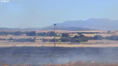 Foto 4 - Un incendio  en Cubo de la Solana moviliza a medios a&eacute;reos y terrestres