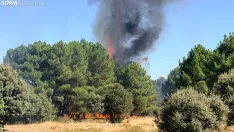 Foto 6 - Un incendio  en Cubo de la Solana moviliza a medios a&eacute;reos y terrestres