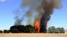 Foto 7 - Un incendio  en Cubo de la Solana moviliza a medios a&eacute;reos y terrestres