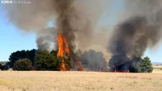 Foto 9 - Un incendio  en Cubo de la Solana moviliza a medios a&eacute;reos y terrestres