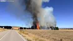 Foto 10 - Un incendio  en Cubo de la Solana moviliza a medios a&eacute;reos y terrestres