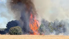 Foto 11 - Un incendio  en Cubo de la Solana moviliza a medios a&eacute;reos y terrestres