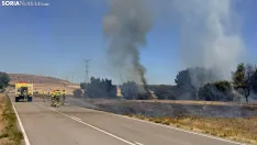 Foto 12 - Un incendio  en Cubo de la Solana moviliza a medios a&eacute;reos y terrestres
