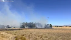 Foto 13 - Un incendio  en Cubo de la Solana moviliza a medios a&eacute;reos y terrestres