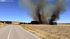 Foto 14 - Un incendio  en Cubo de la Solana moviliza a medios a&eacute;reos y terrestres