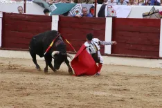 Fotos de Santos Gómez.