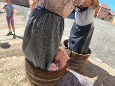 Foto 7 - Las ni&ntilde;as lideran el relevo generacional en la pisada de uva de Quintanilla de Tres Barrios