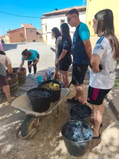 Foto 11 - Las ni&ntilde;as lideran el relevo generacional en la pisada de uva de Quintanilla de Tres Barrios