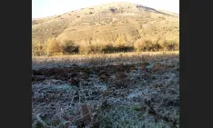 Helada tardia en Espejo de Tera en una imagen de José Luis Valer.