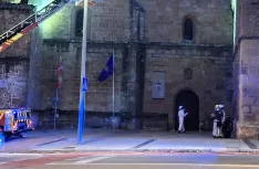 Imágenes de la intervención, ayer, de los bomberos para la retirada de un nido de avispas en el Aula Magna Tirso de Molina. | SN