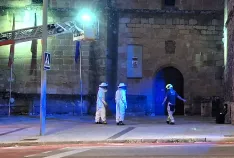Imágenes de la intervención, ayer, de los bomberos para la retirada de un nido de avispas en el Aula Magna Tirso de Molina. | SN