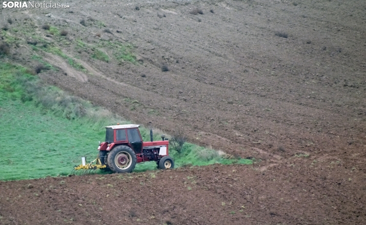 Más de 3.000 agricultores sorianos reciben hoy el anticipo de la PAC