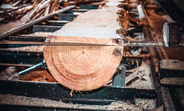 FOES reclama un Plan de la Madera para industrializar los montes de Soria