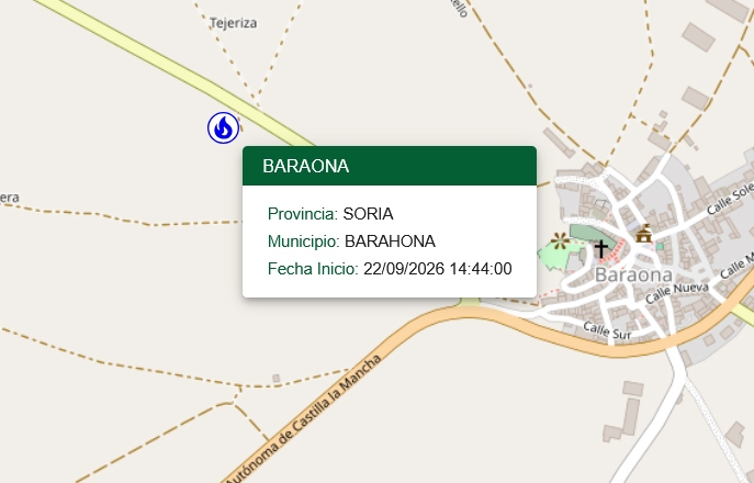 Controlado un fuego forestal en Barahona