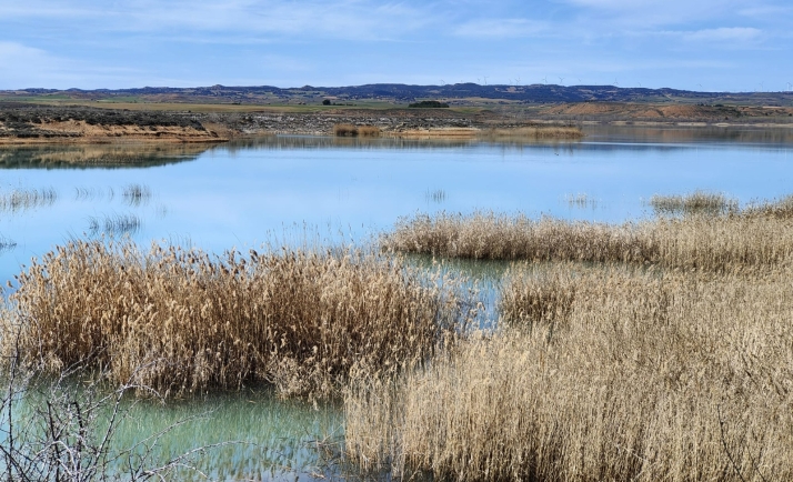 El embalse de Monteagudo resiste al final del verano al 75,5%