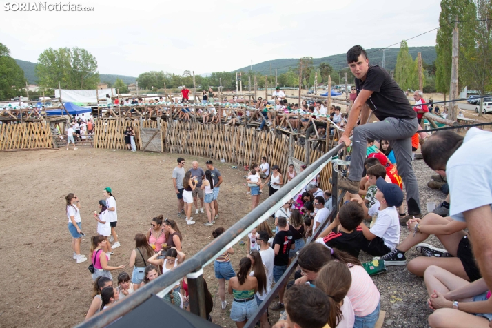 Feria Ganadera de Vinuesa 2026